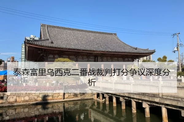 泰森富里乌西克二番战裁判打分争议深度分析