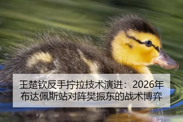 王楚钦反手拧拉技术演进：2026年布达佩斯站对阵樊振东的战术博弈